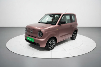 吉利银河 2023款 熊猫mini 200km 耐力熊