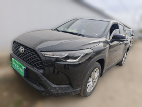 丰田 卡罗拉锐放 2023款 2.0L 精英版