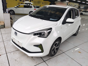 长安 奔奔E-Star 2022款 清心版 多彩款 磷酸铁锂