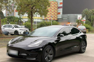 特斯拉 Model 3 2020款 改款 标准续航后驱升级版
