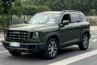 哈弗大狗 2021款 1.5T DCT两驱边牧版