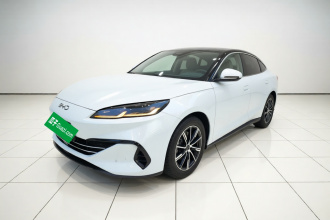 比亚迪 海豹06新能源 2024款 DM-i 80KM尊贵型