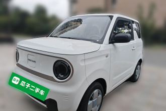吉利银河 2023款 熊猫mini 200km 耐力熊
