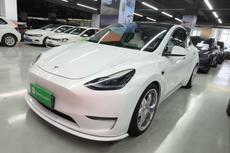 特斯拉 Model Y 2022款 Performance高性能全轮驱动版