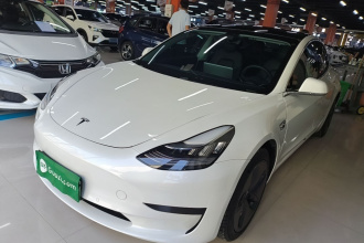 特斯拉 Model 3(进口) 2019款 标准续航后驱升级版