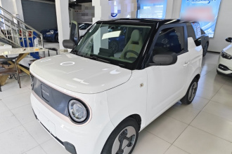 吉利银河 2023款 熊猫mini 200km 灵动熊