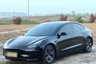 特斯拉 Model 3 2022款 后轮驱动版