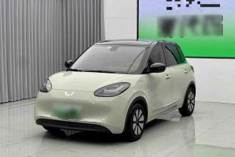 五菱汽车 五菱缤果 2023款 333km 灵犀互联款