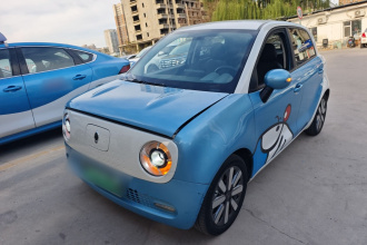 欧拉黑猫 2019款 351km 灵智版