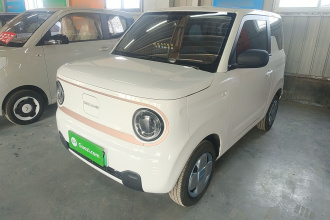 吉利银河 2024款 熊猫mini 200km 耐力熊
