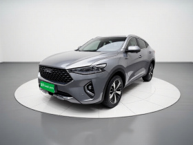 哈弗F7x 2019款 1.5T 两驱极智科技版