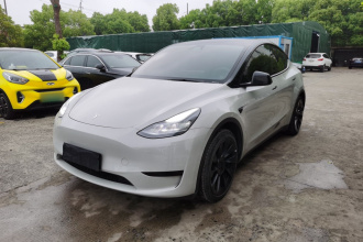 特斯拉 Model Y 2022款 后轮驱动版