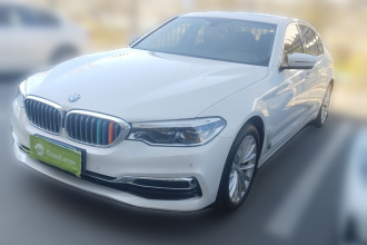 宝马5系 2020款 530Li xDrive 豪华套装