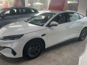 比亚迪 海豹06新能源 2025款 DM-i 智驾版 80KM豪华型