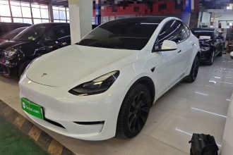特斯拉 Model Y 2021款 长续航全轮驱动版
