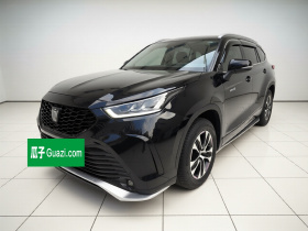 丰田 皇冠陆放 2022款 2.5L HEV四驱精英版