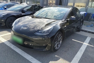 特斯拉 Model 3 2022款 后轮驱动版