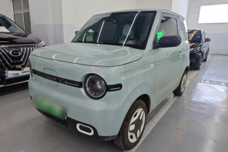 吉利银河 2025款 熊猫mini 210km 元气熊