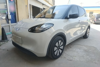 五菱汽车 五菱缤果 2023款 203km 舒享款