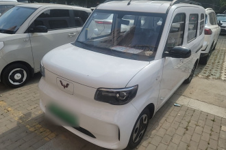 五菱汽车 五菱之光新能源 2025款 305km 进取型