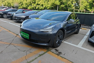 特斯拉 Model 3(进口) 2019款 长续航全轮驱动版