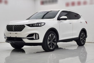 魏牌 VV6 2021款 2.0T 两驱智享+