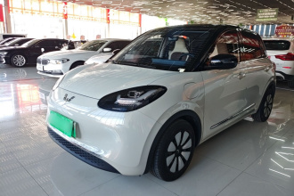 五菱汽车 五菱缤果 2023款 333km 灵犀互联款