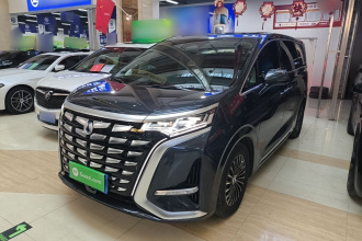 腾势D9 2024款 DM-i 980 四驱旗舰型