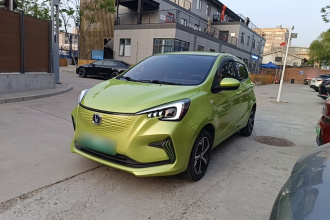 长安 奔奔E-Star 2020款 心悦版 三元锂