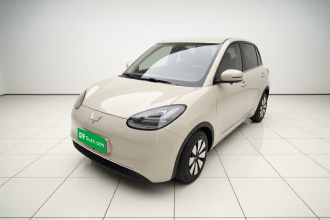 五菱汽车 五菱缤果 2023款 203km 舒享款