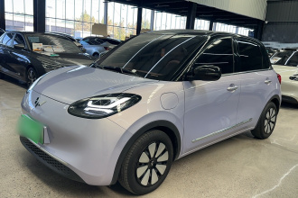 五菱汽车 五菱缤果 2025款 333km 灵犀互联款