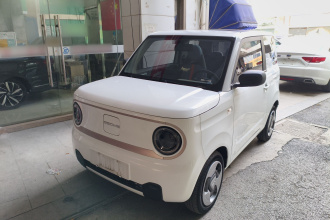 吉利银河 2023款 熊猫mini 200km 灵动熊