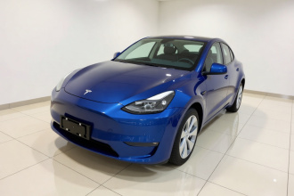 特斯拉 Model Y 2021款 长续航全轮驱动版