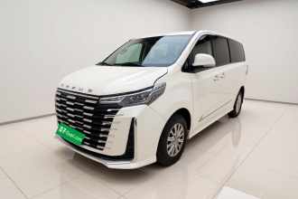 上汽大通MAXUS 大通G10 2025款 MAX 2.0T 自动行政版 汽油 9座