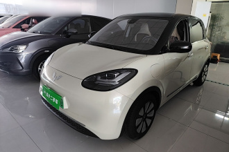五菱汽车 五菱缤果 2023款 333km 悦享+款