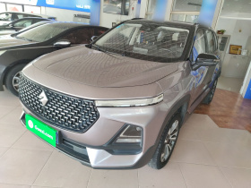 宝骏RS-5 2019款 1.5T CVT智能驾控尊贵版 国VI