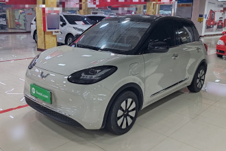 五菱汽车 五菱缤果 2024款 333km 悦享款
