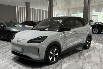 五菱汽车 五菱缤果PLUS 2024款 510km 旗舰版 四座版