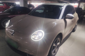 欧拉好猫 2021款 400km标准续航 维纳斯版 磷酸铁锂