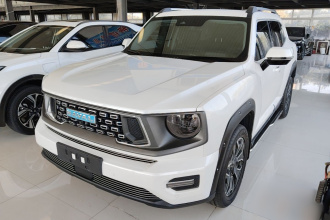 哈弗大狗 PLUS 新能源 2023款 DHT-PHEV 105km 潮电版Plus