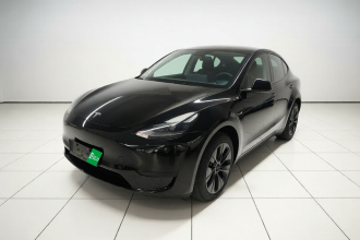 特斯拉 Model Y 2023款 后轮驱动版