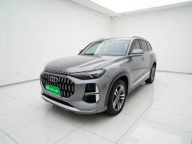 奥迪Q6 2023款 45 TFSI quattro 齐云型 羽林套装