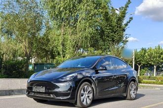 特斯拉 Model Y 2023款 长续航全轮驱动版