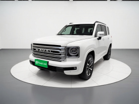 哈弗H9 2024款 2.0T 汽油四驱极境版