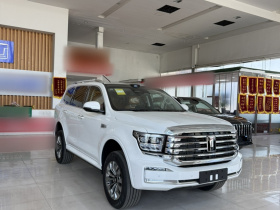 坦克500新能源 2026款 Hi4-Z 智享版