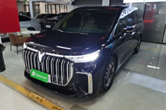 岚图汽车 岚图梦想家 2022款 低碳版 梦+智享包
