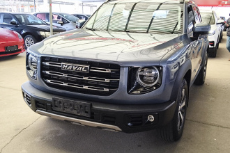 哈弗大狗 2021款 1.5T DCT两驱拉布拉多版