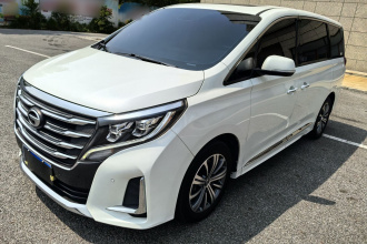 广汽传祺 传祺M8 2020款 领航款 390T 尊贵版