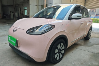 五菱汽车 五菱缤果 2024款 333km 悦享款