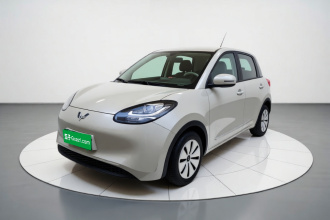 五菱汽车 五菱缤果 2023款 203km 轻享款
